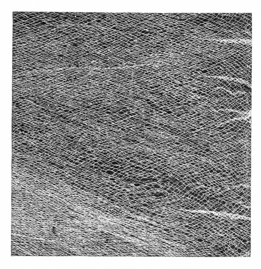 An illustration from Scientific American, Vol. 39, No. 12 (1878), 1878, leaf 9