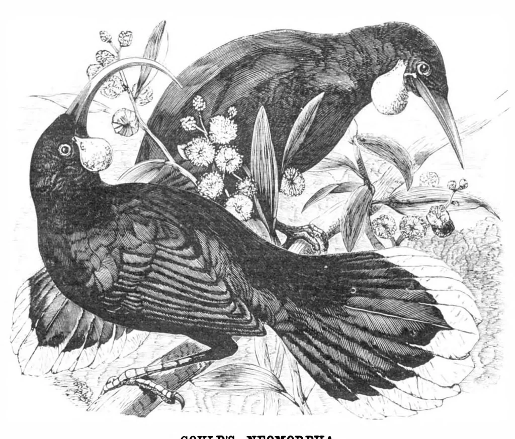 An illustration from Scientific American, Vol. 39, No. 13 (1878), 1878, leaf 10