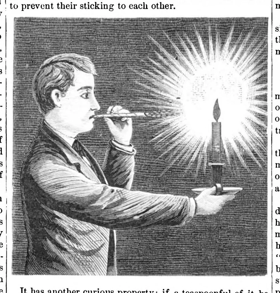An illustration from Scientific American, Vol. 39, No. 13 (1878), 1878, leaf 9