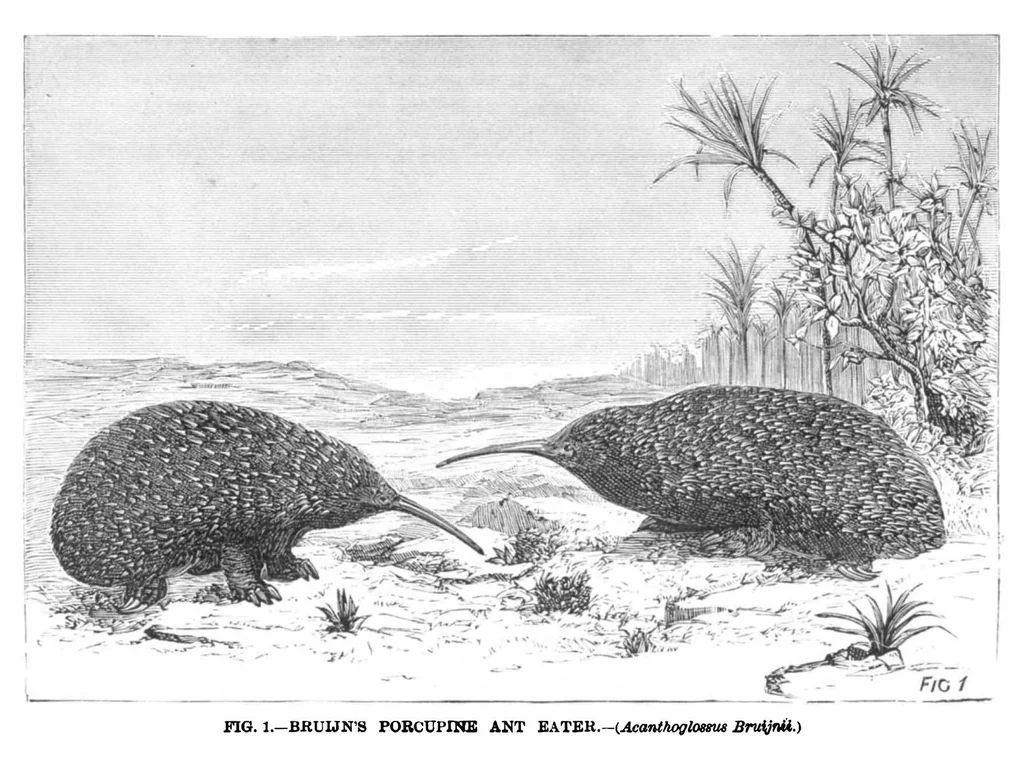 An illustration from Scientific American, Vol. 39, No. 14 (1878), 1878, leaf 10