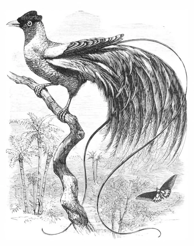 An illustration from Scientific American, Vol. 39, No. 15 (1878), 1878, leaf 8