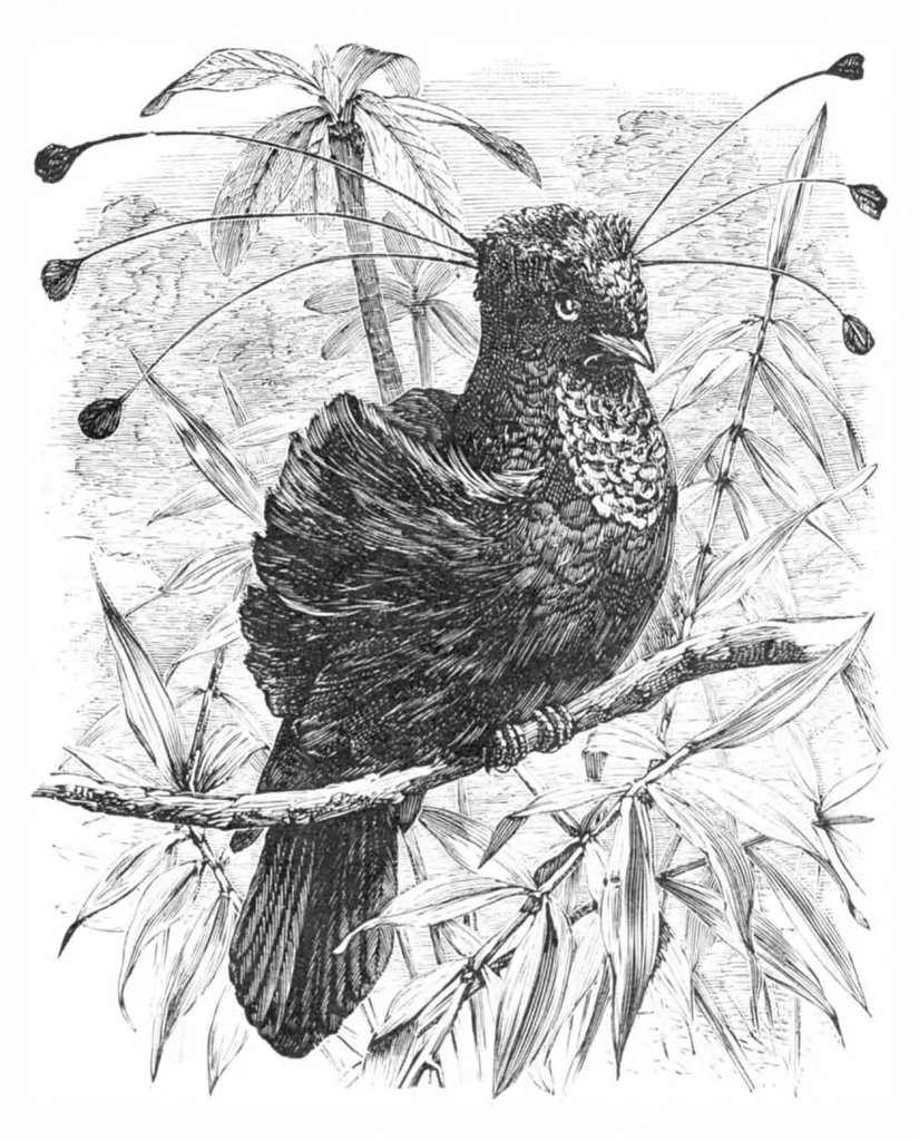 An illustration from Scientific American, Vol. 39, No. 16 (1878), 1878, leaf 8
