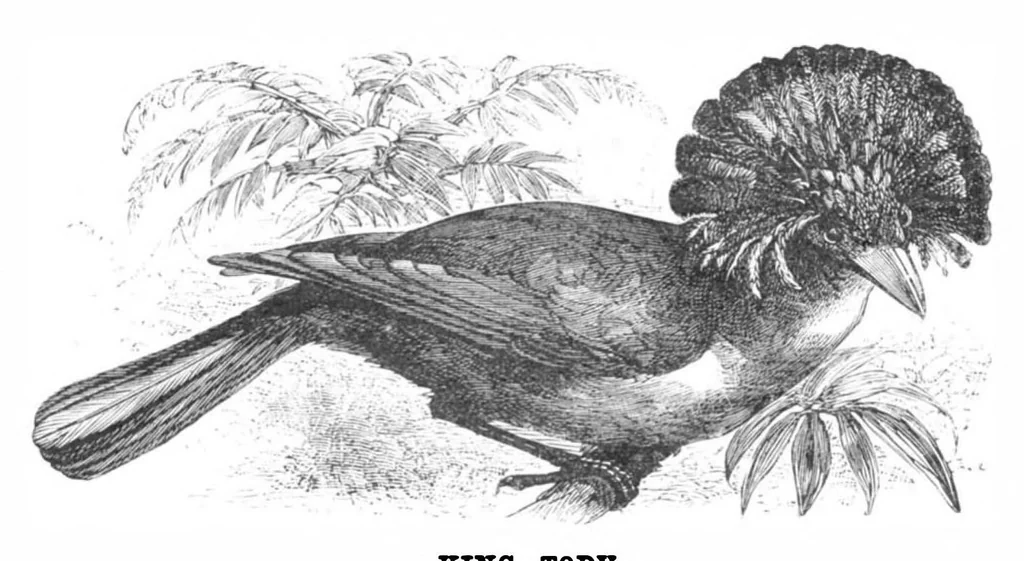 An illustration from Scientific American, Vol. 39, No. 18 (1878), 1878, leaf 10