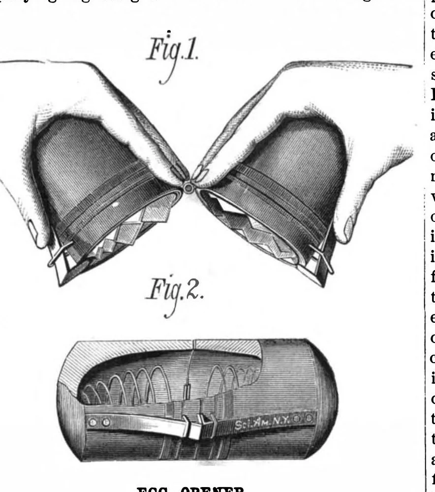 An illustration from Scientific American, Vol. 39, No. 21 (1878), 1878, leaf 9
