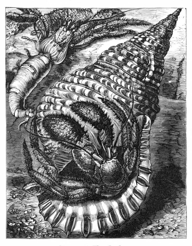 An illustration from Scientific American, Vol. 39, No. 22 (1878), 1878, leaf 8