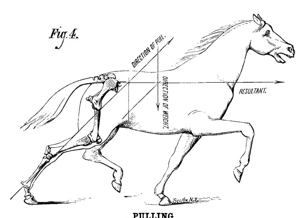 An illustration from Scientific American, Vol. 39, No. 26 (1878), 1878, leaf 4