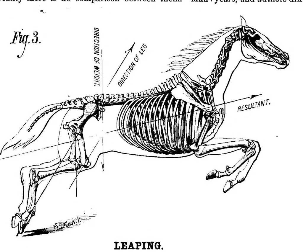 An illustration from Scientific American, Vol. 39, No. 26 (1878), 1878, leaf 4