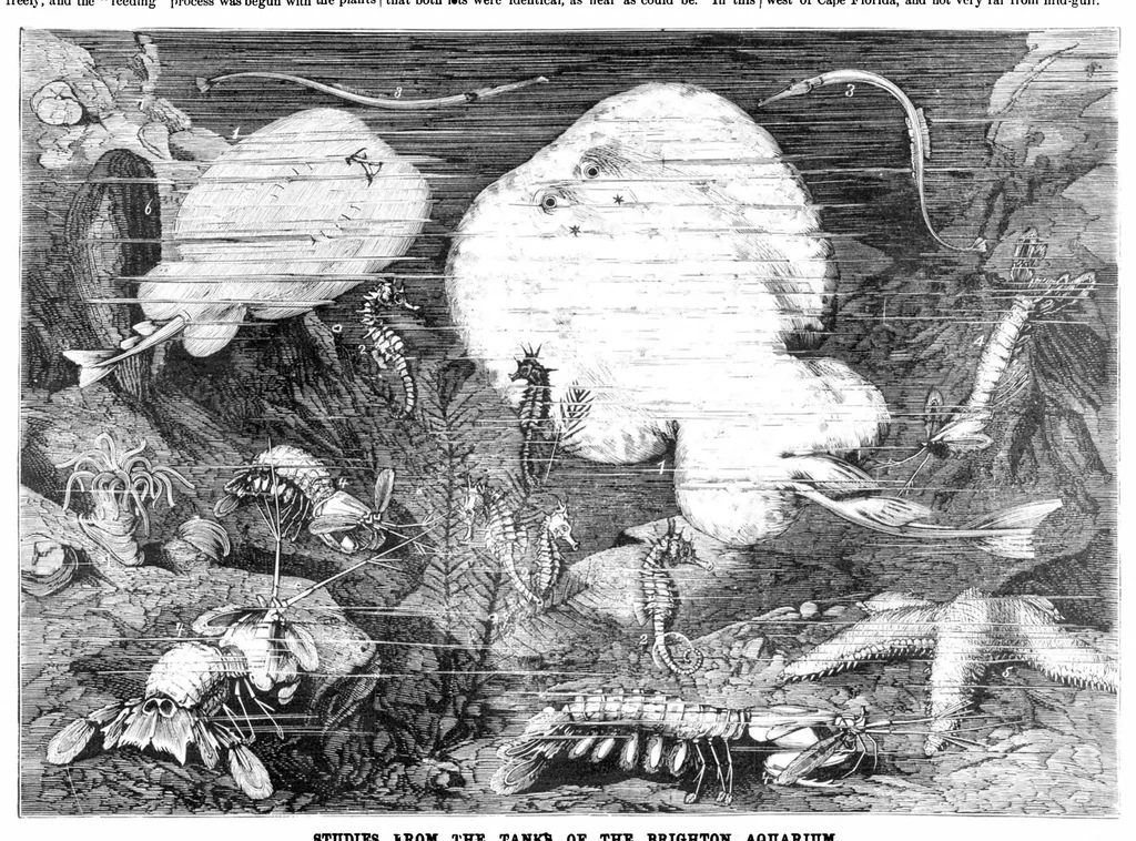 An illustration from Scientific American, Vol. 40, No. 2 (1879), 1879, leaf 8