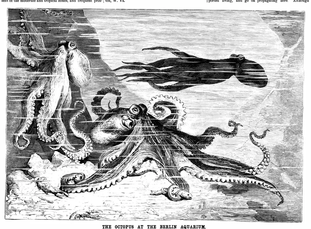 An illustration from Scientific American, Vol. 40, No. 7 (1879), 1879, leaf 8