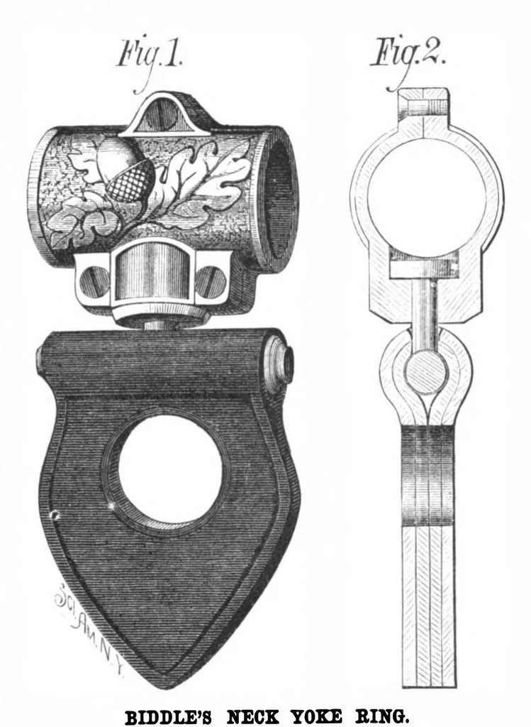 An illustration from Scientific American, Vol. 40, No. 8 (1879), 1879, leaf 4