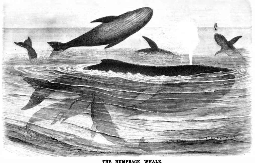 An illustration from Scientific American, Vol. 40, No. 9 (1879), 1879, leaf 8