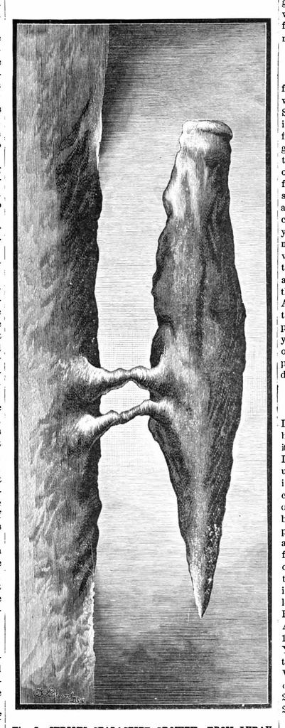An illustration from Scientific American, Vol. 40, No. 10 (1879), 1879, leaf 11