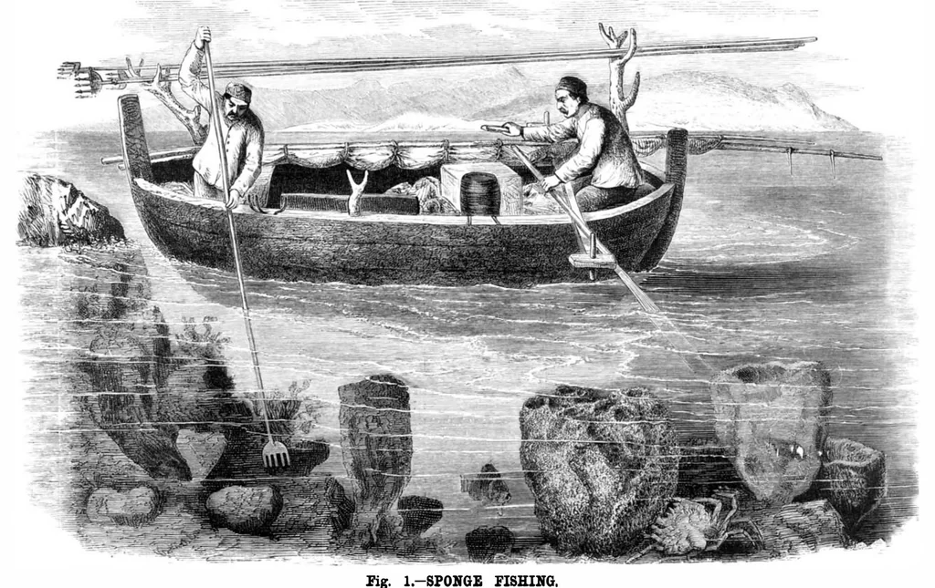 An illustration from Scientific American, Vol. 40, No. 11 (1879), 1879, leaf 8