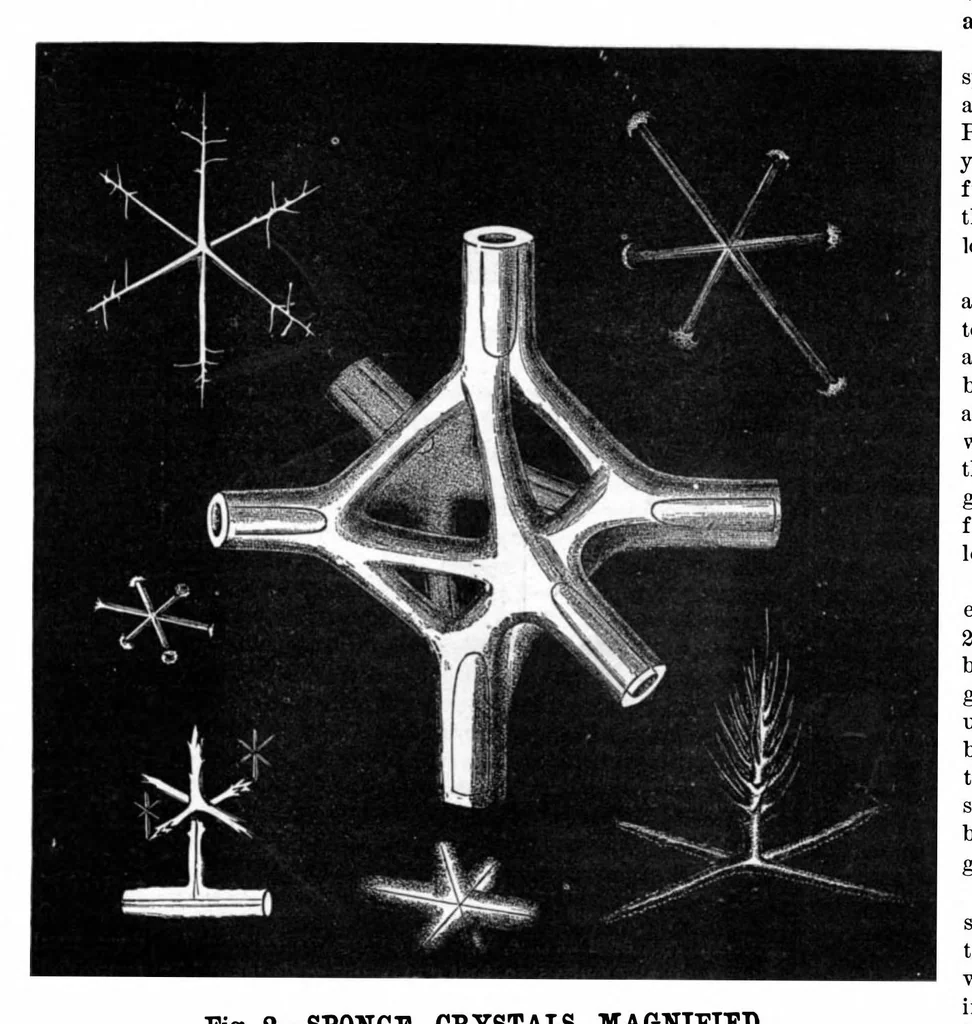 An illustration from Scientific American, Vol. 40, No. 13 (1879), 1879, leaf 9