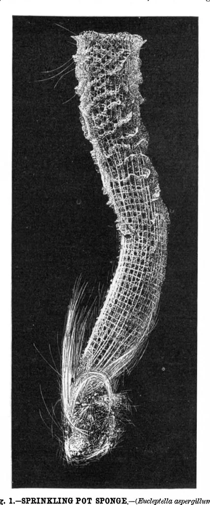 An illustration from Scientific American, Vol. 40, No. 13 (1879), 1879, leaf 9