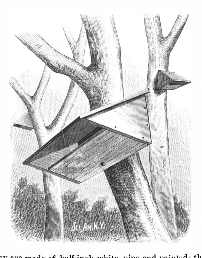 An illustration from Scientific American, Vol. 40, No. 15 (1879), 1879, leaf 5
