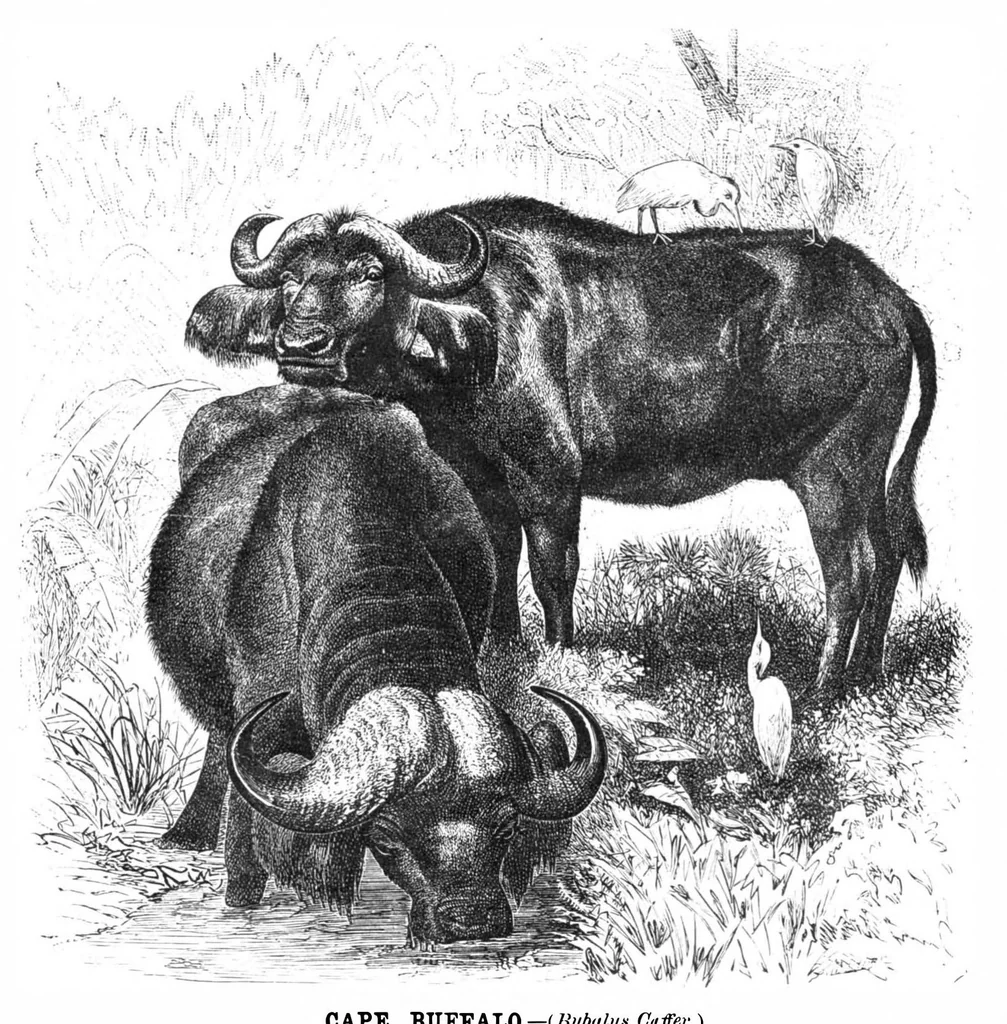 An illustration from Scientific American, Vol. 40, No. 15 (1879), 1879, leaf 8