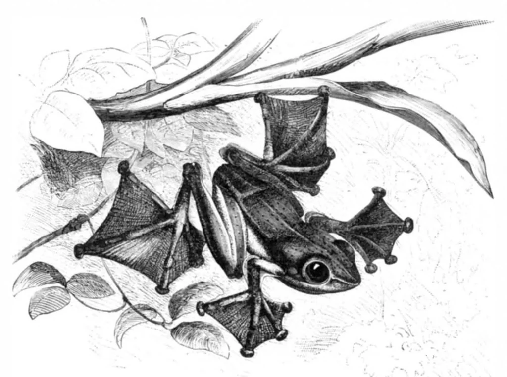 An illustration from Scientific American, Vol. 40, No. 16 (1879), 1879, leaf 8