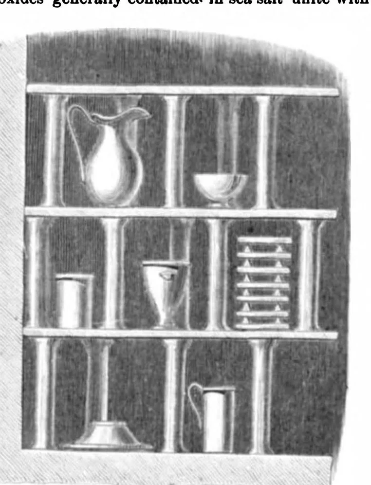 An illustration from Scientific American, Vol. 40, No. 17 (1879), 1879, leaf 3