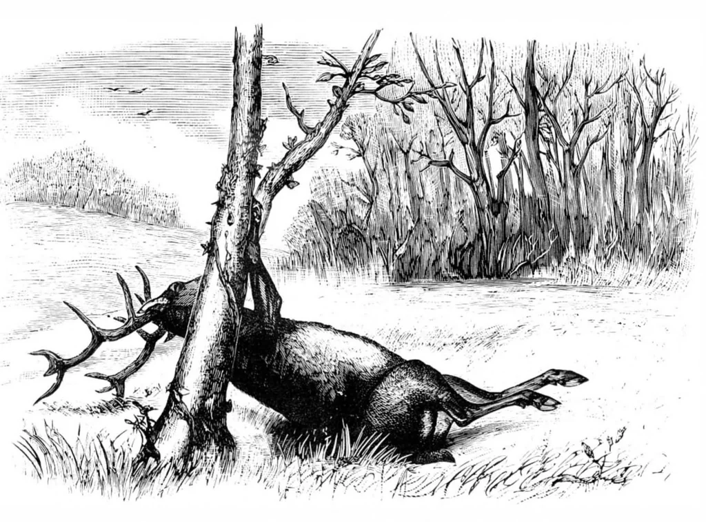 An illustration from Scientific American, Vol. 40, No. 18 (1879), 1879, leaf 8