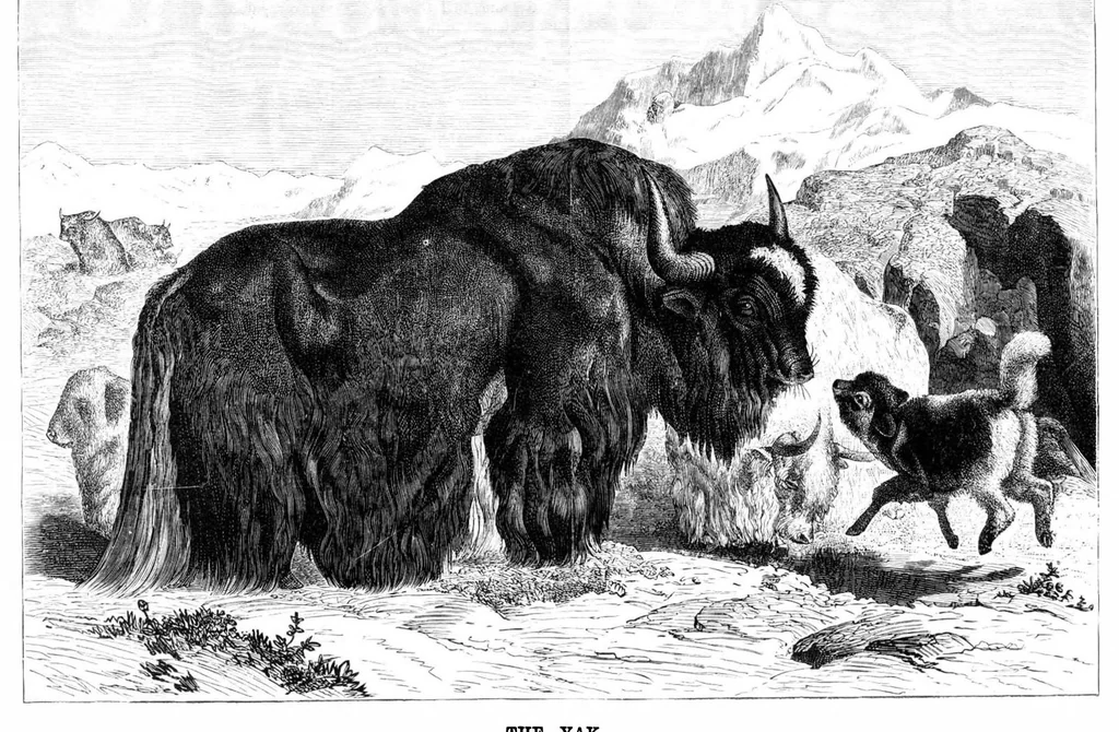 An illustration from Scientific American, Vol. 40, No. 19 (1879), 1879, leaf 8