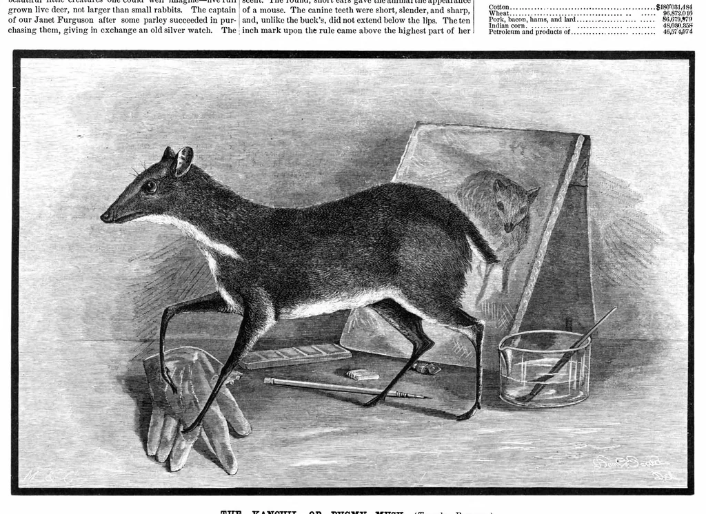 An illustration from Scientific American, Vol. 40, No. 20 (1879), 1879, leaf 8