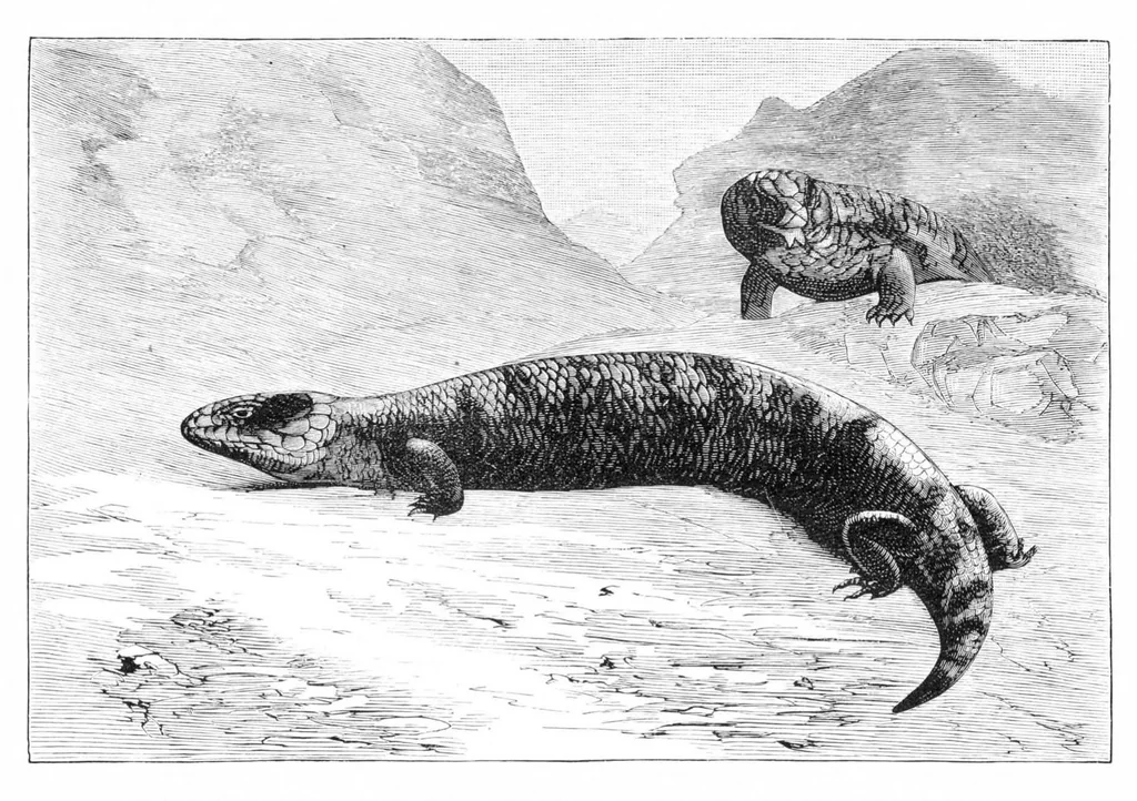 An illustration from Scientific American, Vol. 40, No. 26 (1879), 1879, leaf 8