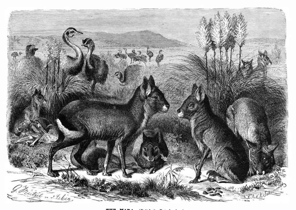 An illustration from Scientific American, Vol. 41, No. 2 (1879), 1879, leaf 8