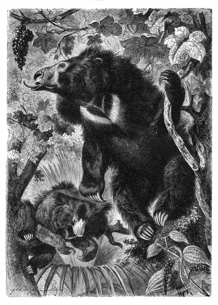 An illustration from Scientific American, Vol. 41, No. 4 (1879), 1879, leaf 8