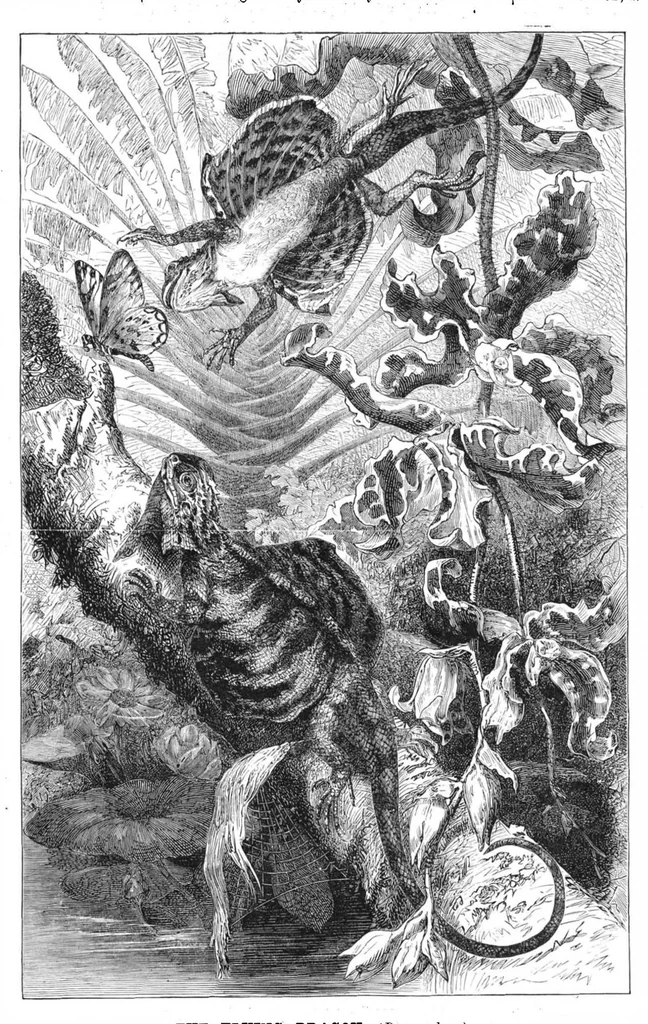 An illustration from Scientific American, Vol. 41, No. 8 (1879), 1879, leaf 8