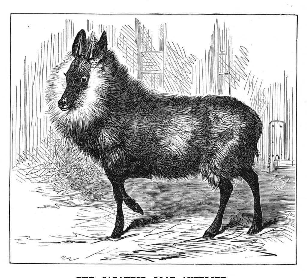 An illustration from Scientific American, Vol. 41, No. 9 (1879), 1879, leaf 8