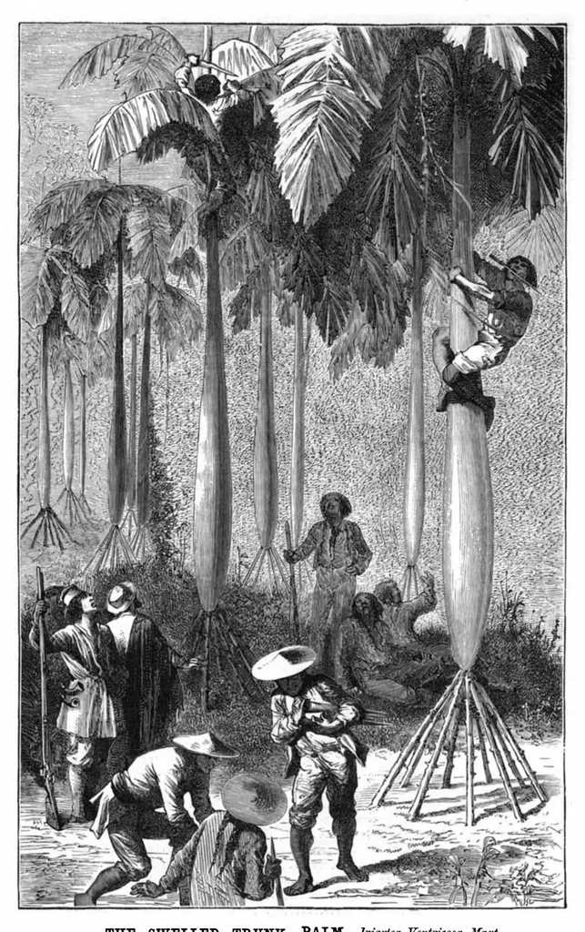 An illustration from Scientific American, Vol. 41, No. 10 (1879), 1879, leaf 8