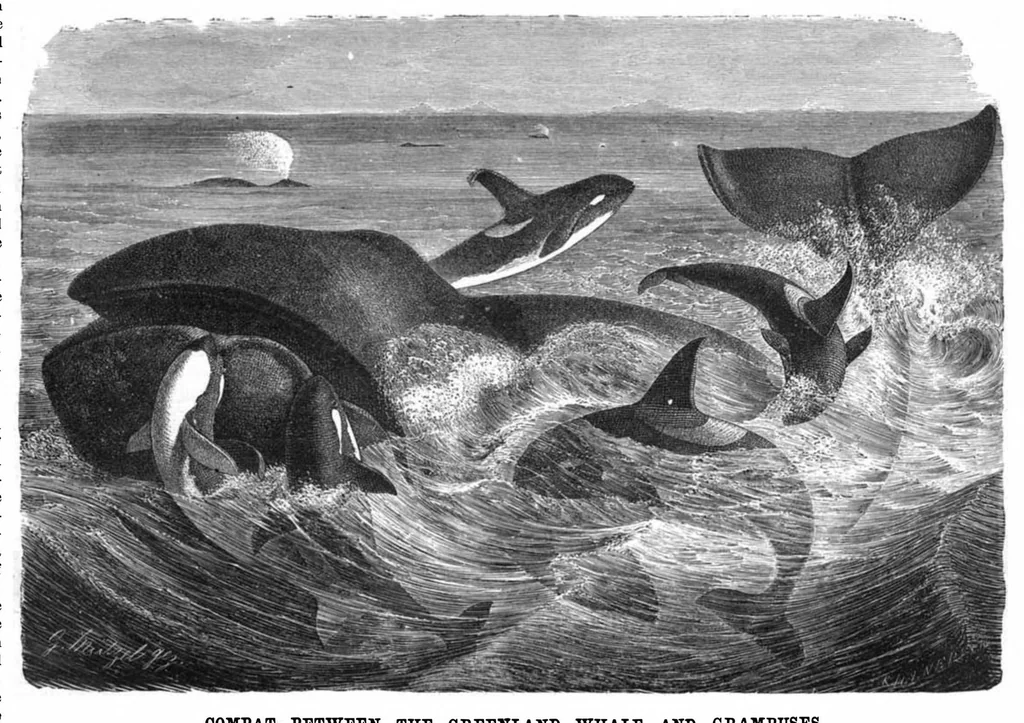 An illustration from Scientific American, Vol. 41, No. 11 (1879), 1879, leaf 8