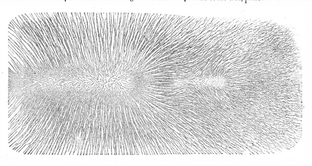 An illustration from Scientific American, Vol. 41, No. 14 (1879), 1879, leaf 5
