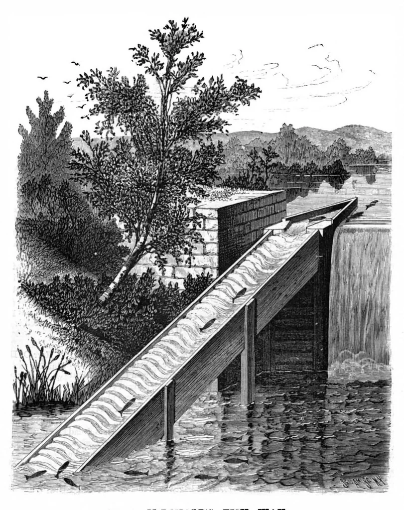 An illustration from Scientific American, Vol. 41, No. 18 (1879), 1879, leaf 4