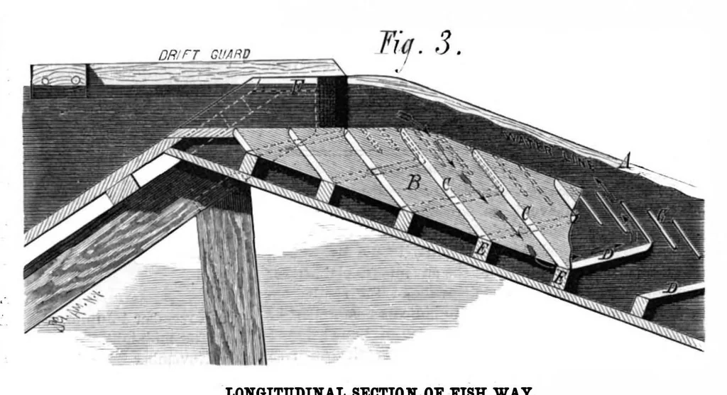 An illustration from Scientific American, Vol. 41, No. 18 (1879), 1879, leaf 4