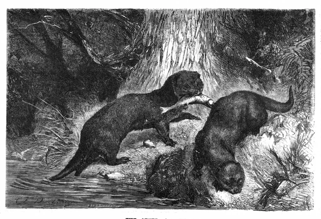 An illustration from Scientific American, Vol. 41, No. 21 (1879), 1879, leaf 8