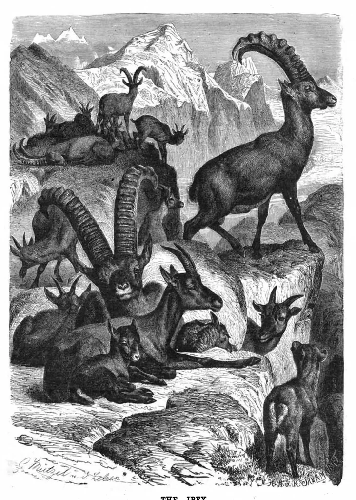An illustration from Scientific American, Vol. 41, No. 23 (1879), 1879, leaf 8