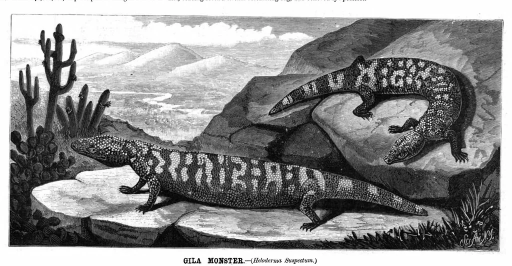 An illustration from Scientific American, Vol. 41, No. 25 (1879), 1879, leaf 8