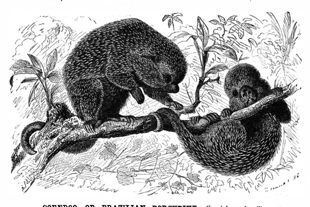 An illustration from Scientific American, Vol. 42, No. 1 (1880), 1880, leaf 9