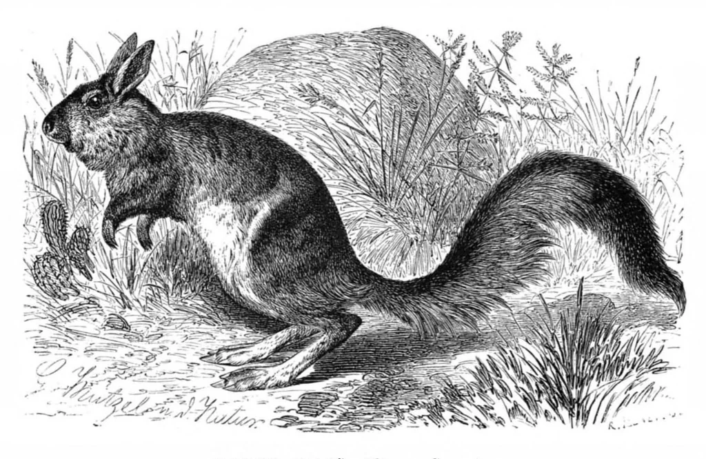 An illustration from Scientific American, Vol. 42, No. 4 (1880), 1880, leaf 8