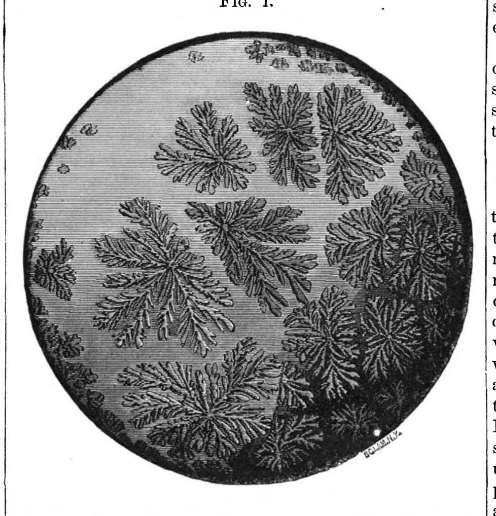 An illustration from Scientific American, Vol. 42, No. 6 (1880), 1880, leaf 6