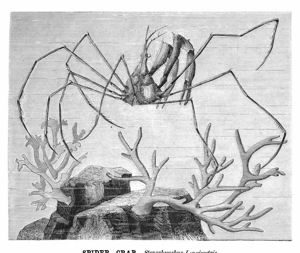 An illustration from Scientific American, Vol. 42, No. 7 (1880), 1880, leaf 8