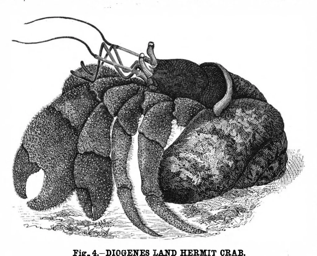 An illustration from Scientific American, Vol. 42, No. 8 (1880), 1880, leaf 8