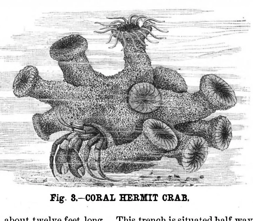An illustration from Scientific American, Vol. 42, No. 8 (1880), 1880, leaf 8