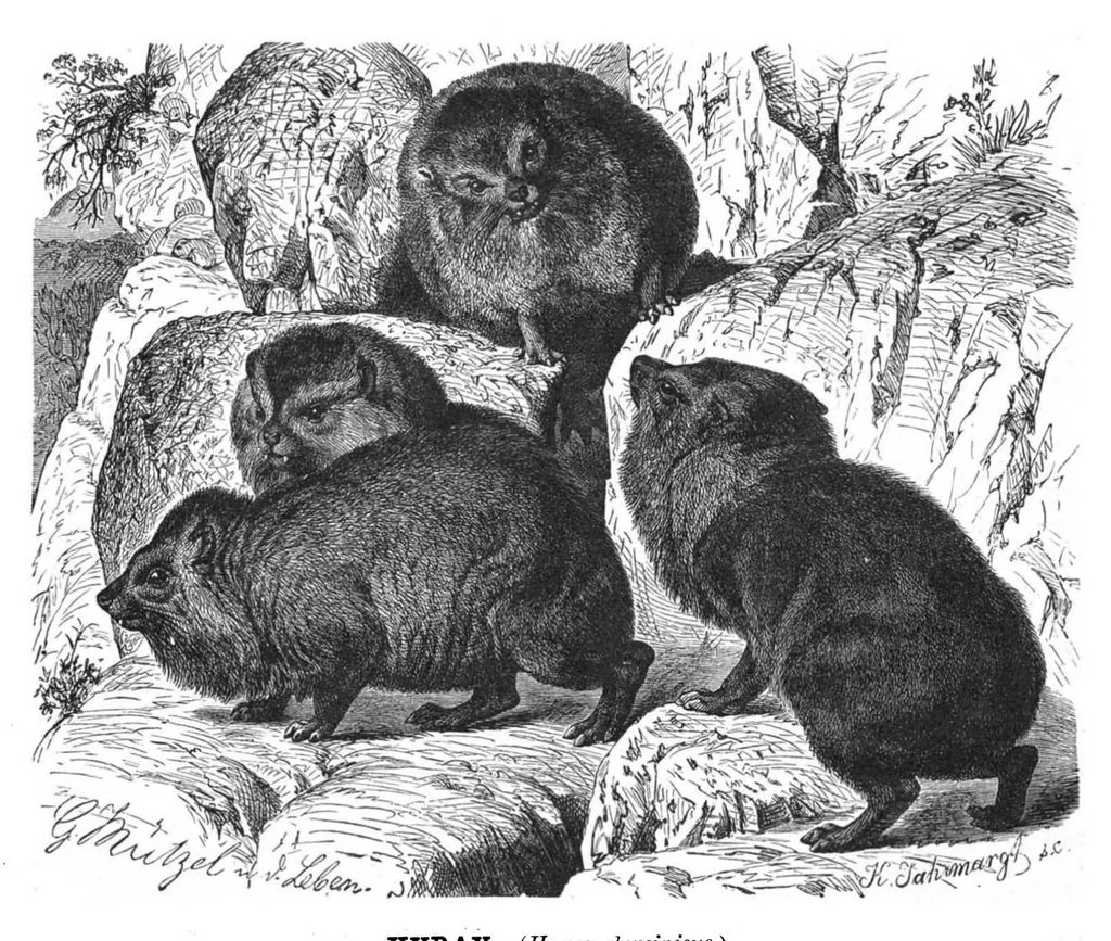 An illustration from Scientific American, Vol. 42, No. 9 (1880), 1880, leaf 8