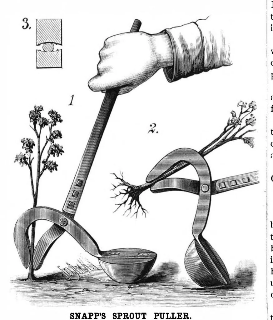 An illustration from Scientific American, Vol. 42, No. 13 (1880), 1880, leaf 4