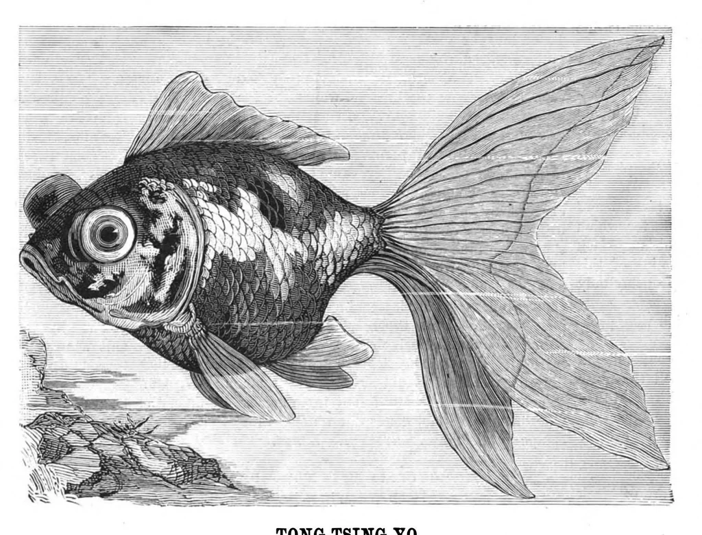 An illustration from Scientific American, Vol. 42, No. 13 (1880), 1880, leaf 8