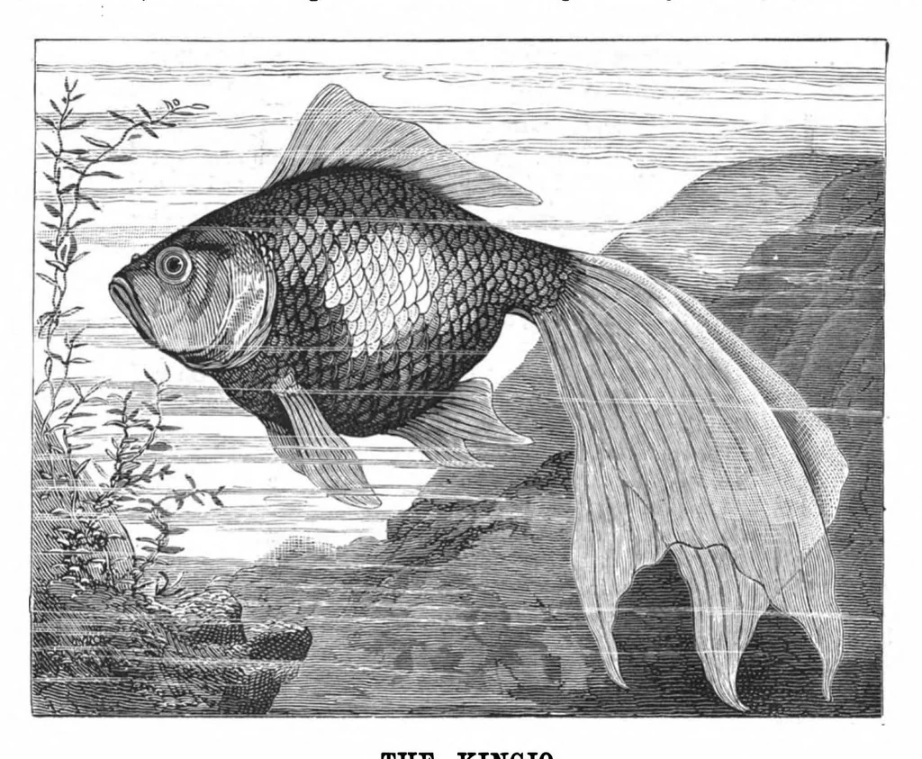 An illustration from Scientific American, Vol. 42, No. 13 (1880), 1880, leaf 8