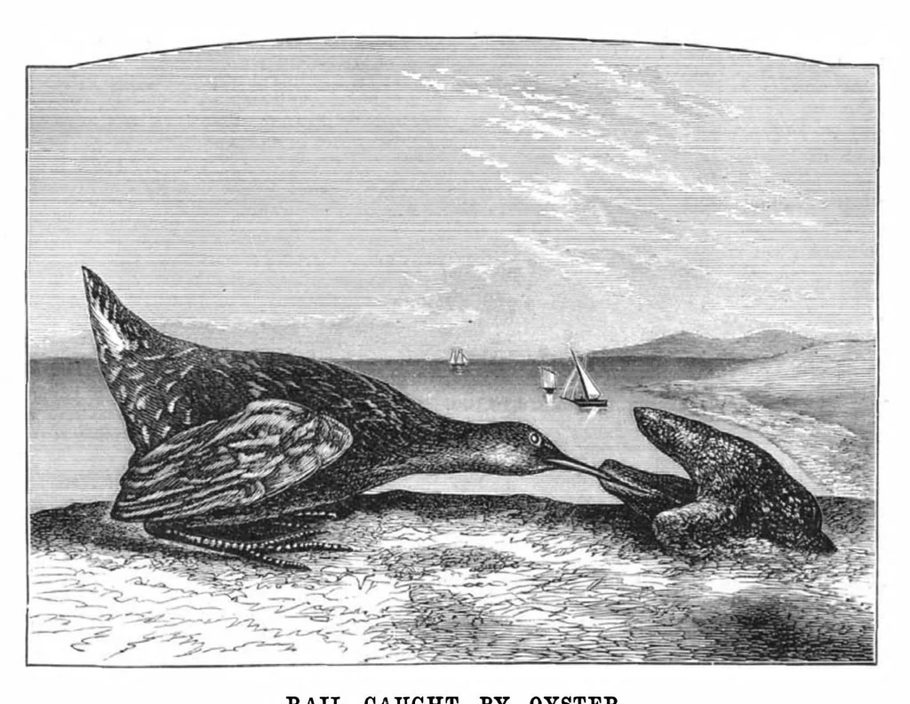 An illustration from Scientific American, Vol. 42, No. 15 (1880), 1880, leaf 10
